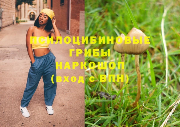 первитин Лабытнанги