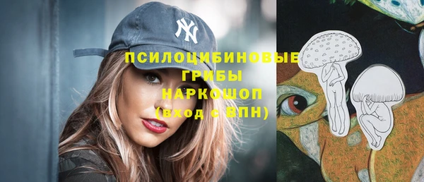 а пвп мука Бугульма