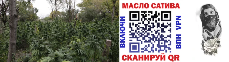 цены Вологда Дистиллят ТГК концентрат