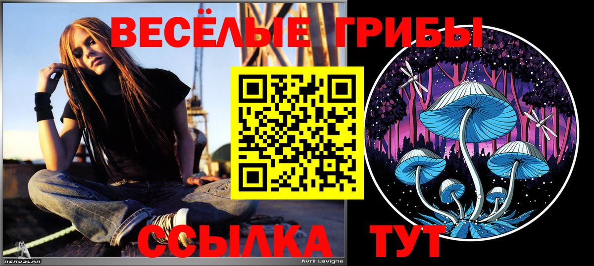 Вологда  Псилоцибиновые грибы MAGIC MUSHROOMS  Галлюциногенные грибы Psilocybine cubensis  Вход с VPN 
