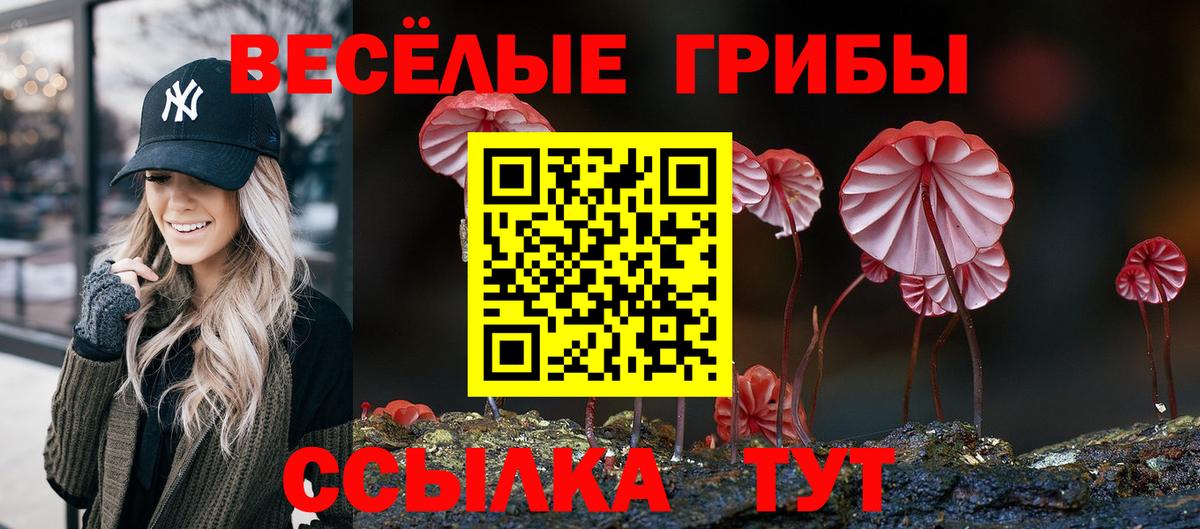 Псилоцибиновые грибы мицелий Вологда