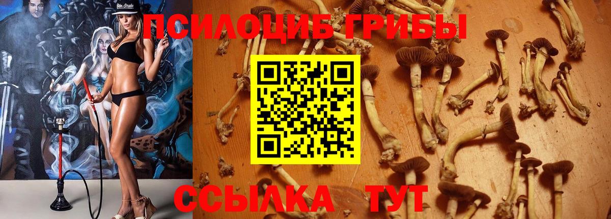 Галлюциногенные грибы MAGIC MUSHROOMS Вологда