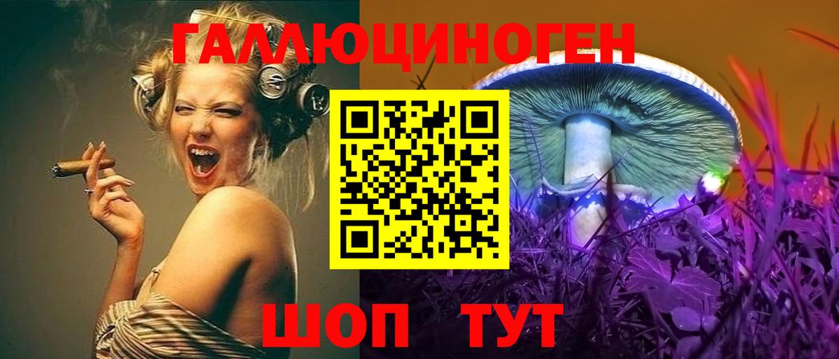 Галлюциногенные грибы GOLDEN TEACHER  Вологда 